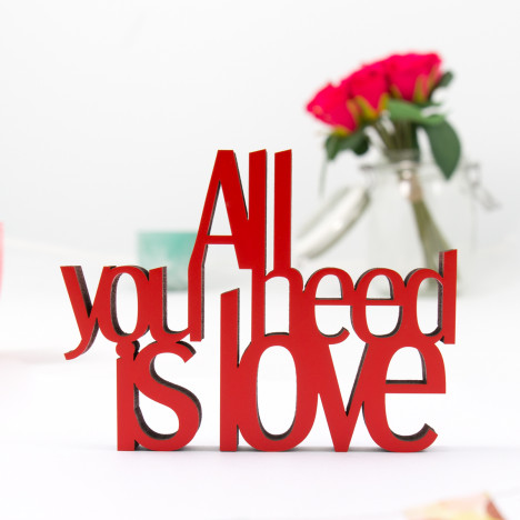 3D-Schriftzug All you need is love