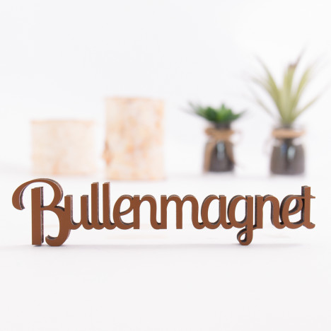 Dekoschriftzug Bullenmagnet