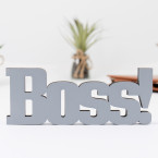 3D Schriftzug Boss