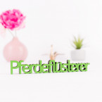 3D Schriftzug Pferdeflüsterer