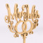 Cake Topper Mr. & Mr.s mit Ringen 