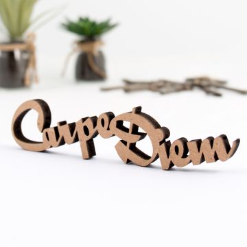 Dekoschriftzug "Carpe Diem"