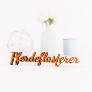 3D Schriftzug Pferdeflüsterer