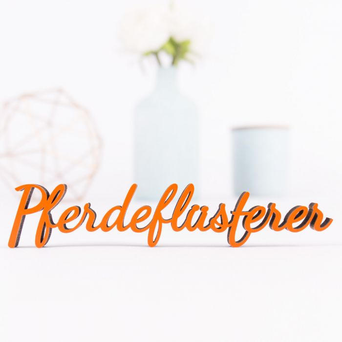 Dekoschriftzug Pferdeflüsterer main product photo